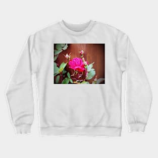 Pink Perfection Crewneck Sweatshirt